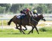  Carrera: P.Reltaj Monta: B.Fayos Caballo: Skimmia